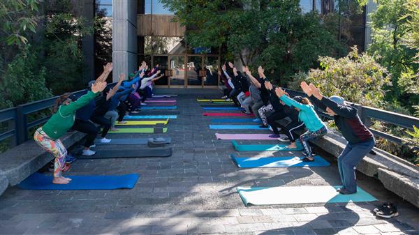 Yoga Dominical